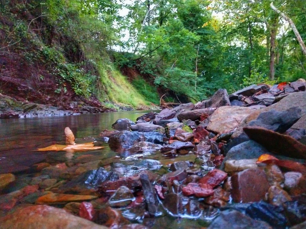 Bernadette Morales Nature Preserve