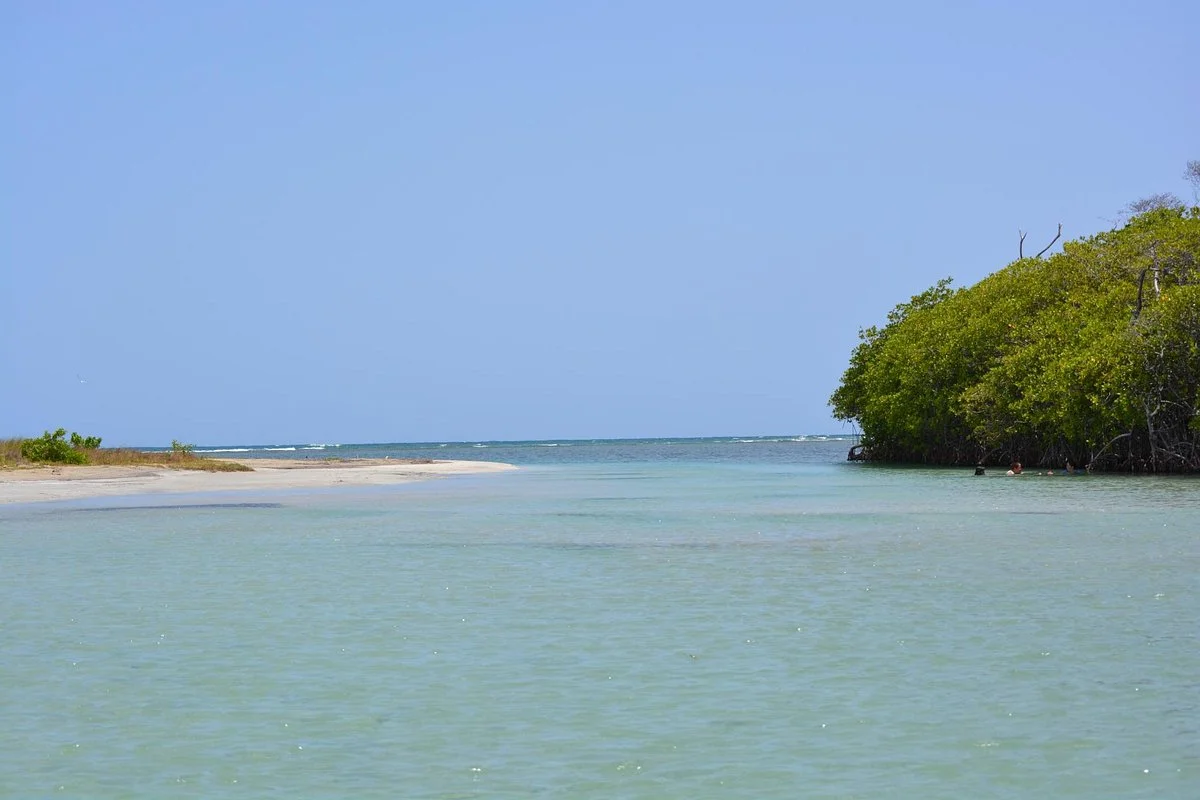 Bahia Ballena