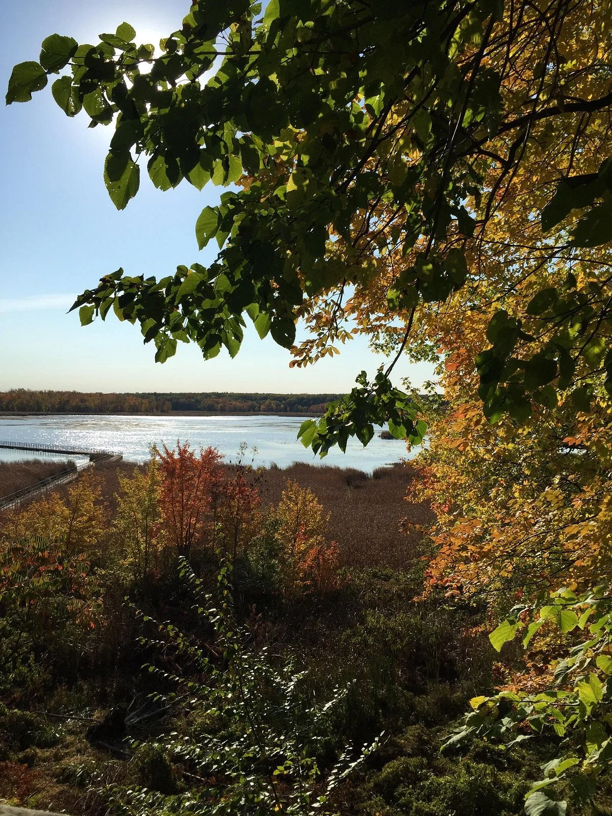 Oka National Park