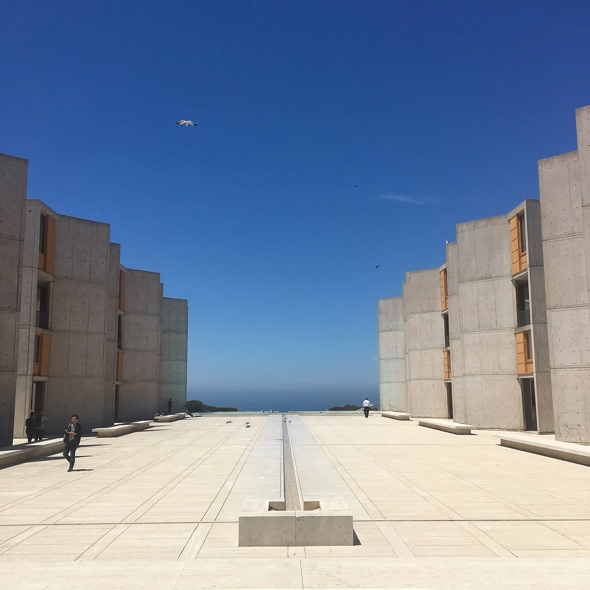Salk Institute