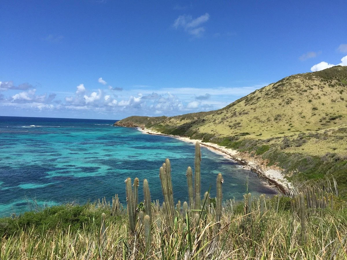 Isaac Bay