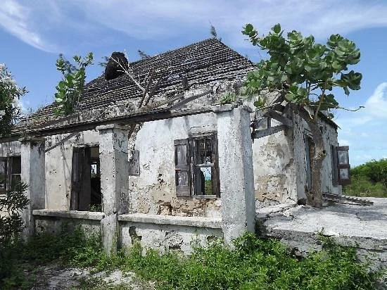 Bowe Family Plantation