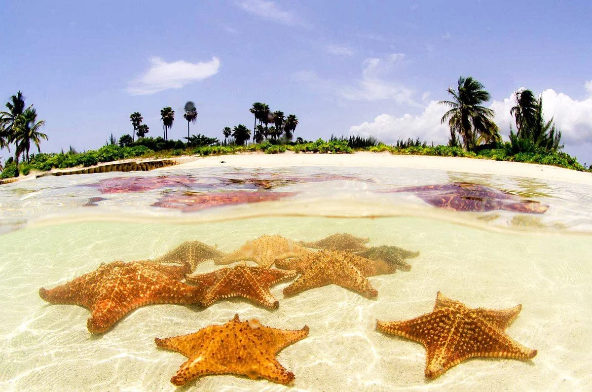 Starfish Point