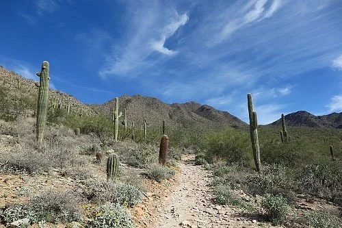The Gateway Trailhead