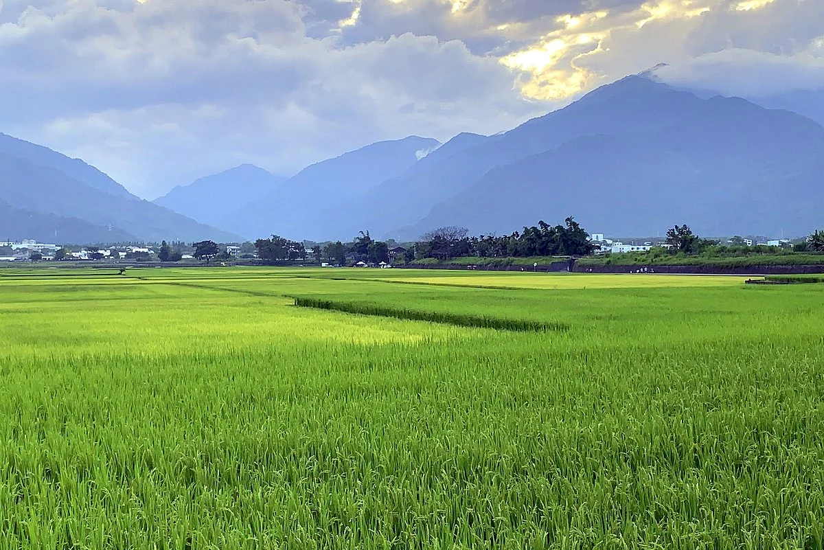 Taitung Brown's Road