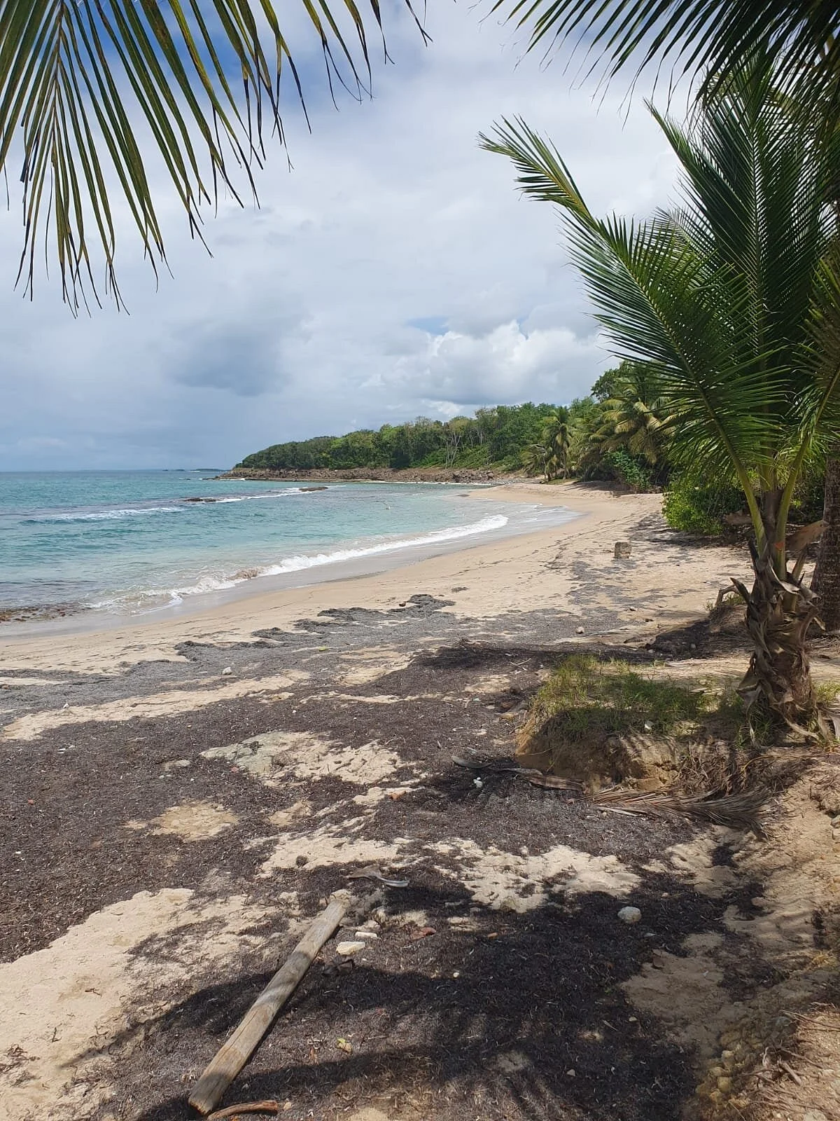 Anse Vinty