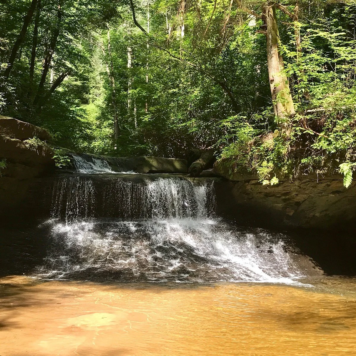 Rock Bridge Trail #207