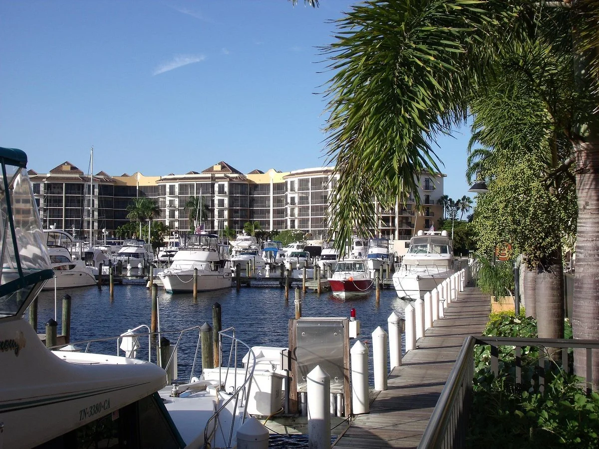 Harbour View Gallery
