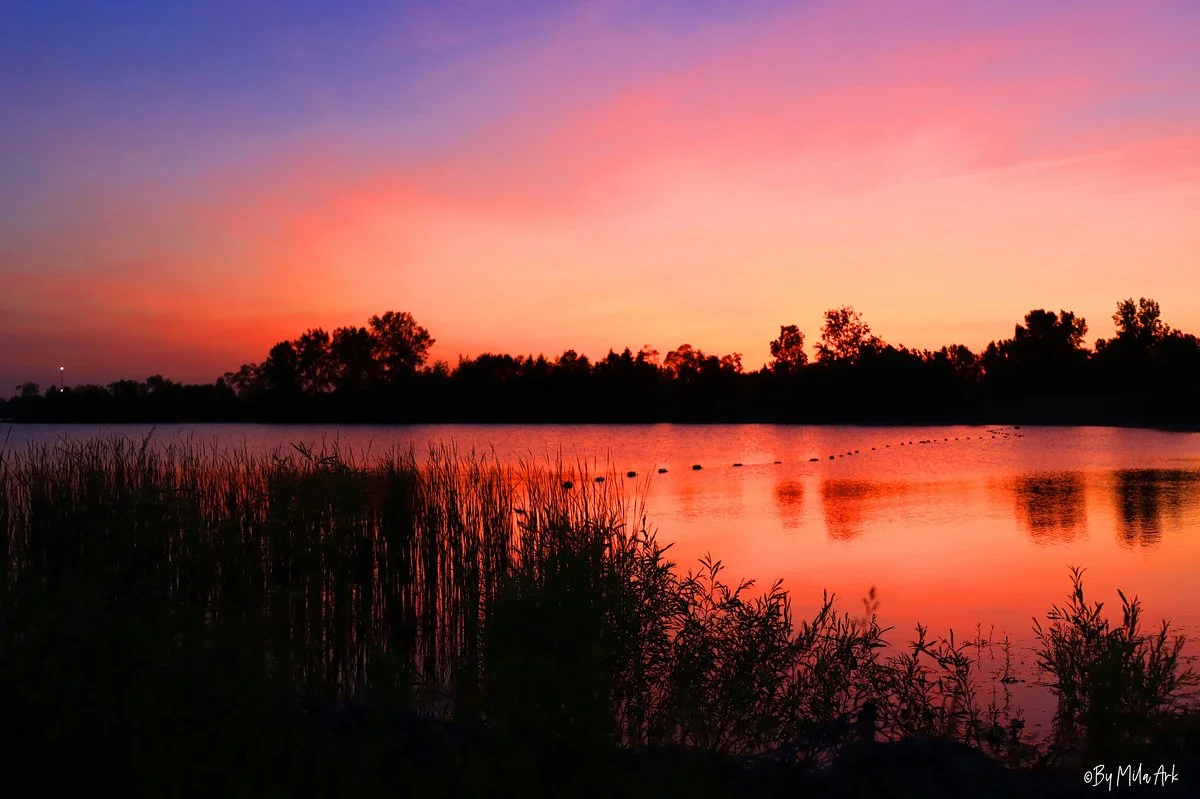 Guelph Lake Conservation Area