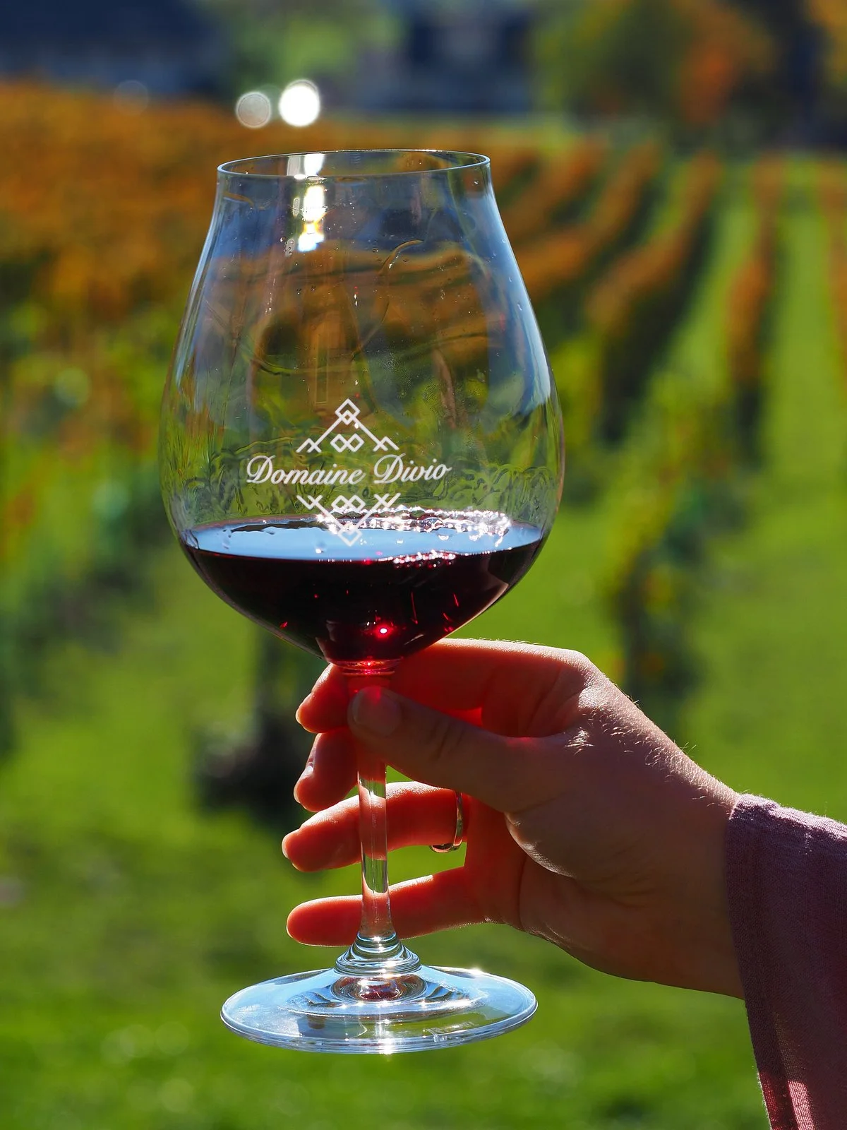 Domaine Divio