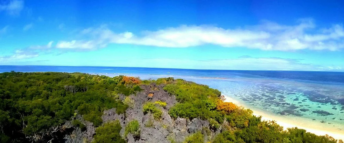 Apo Reef Natural Park