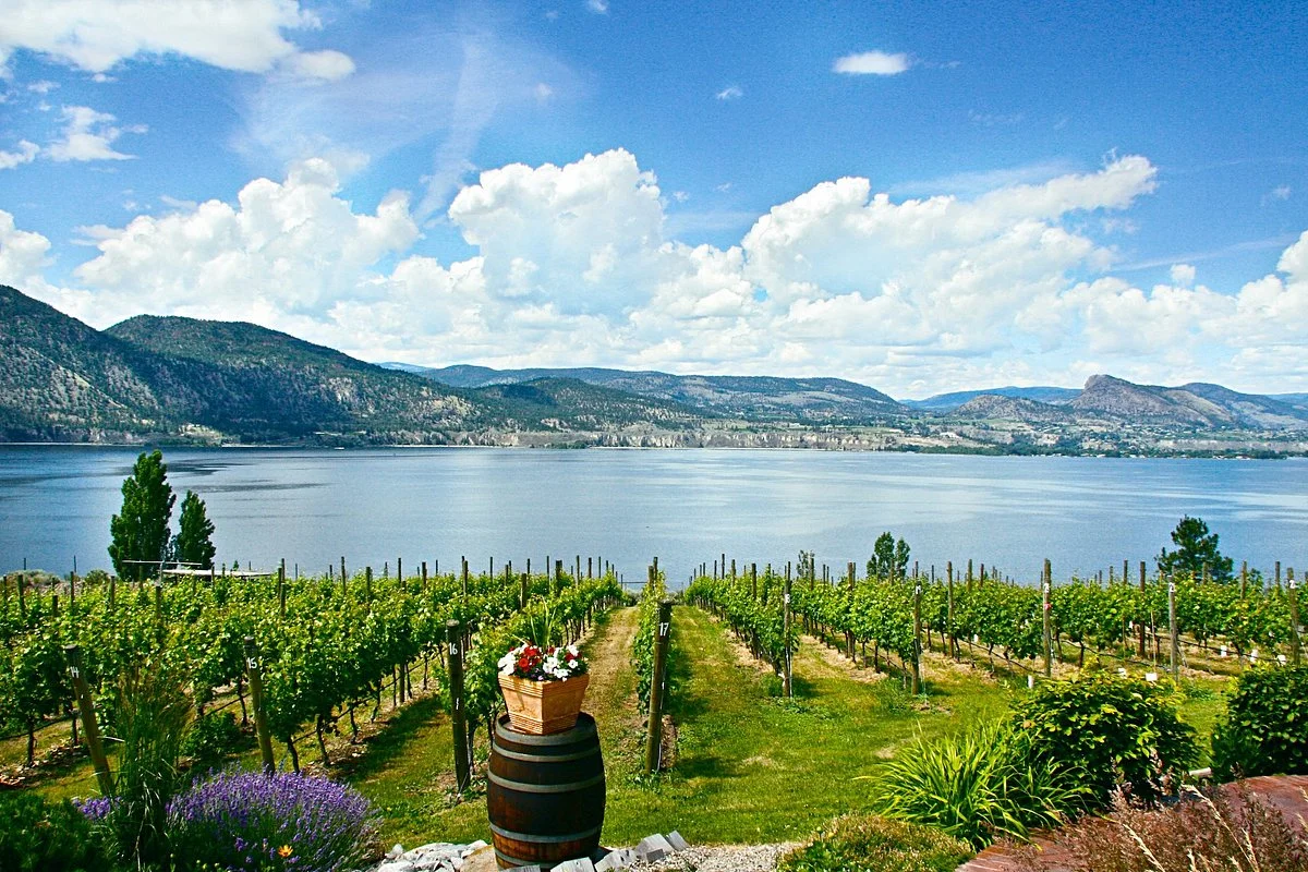 Bench 1775 Winery