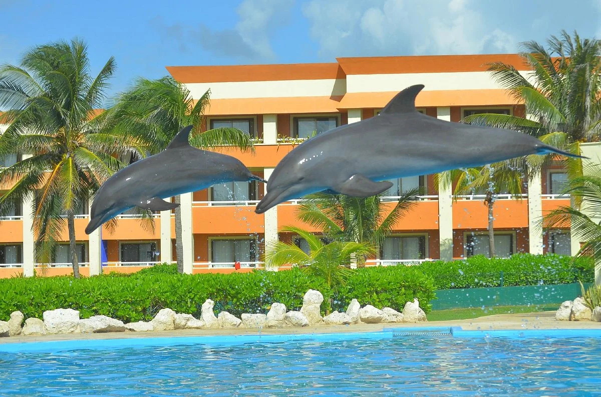 Dolphinaris Tulum