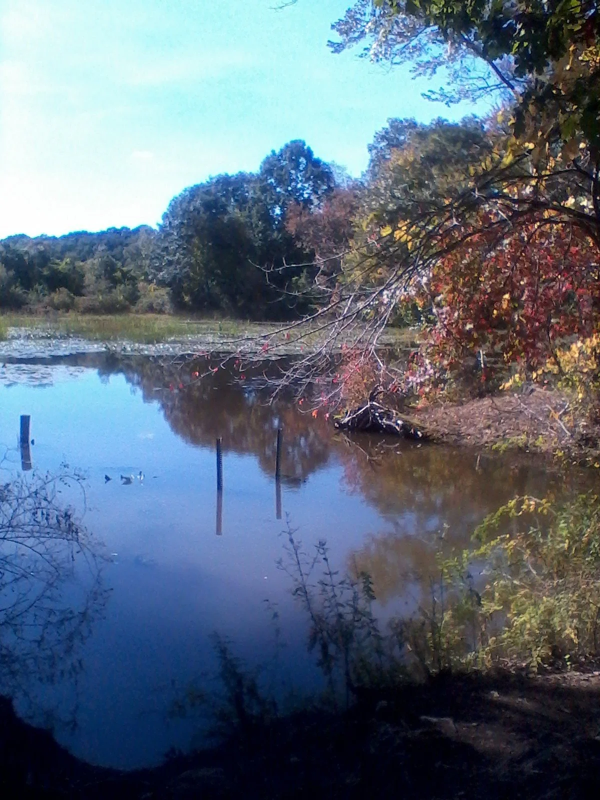 Independence Greenway Bike Route