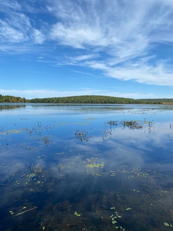 Pecks Pond
