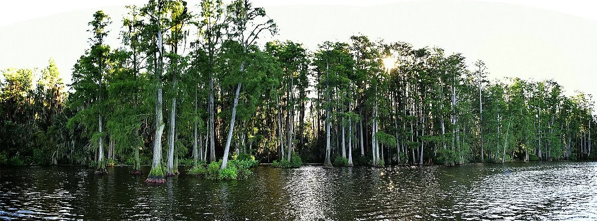 Trout Lake Nature Center