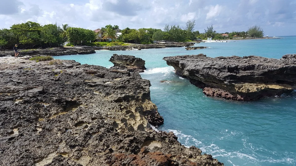 Smith Cove