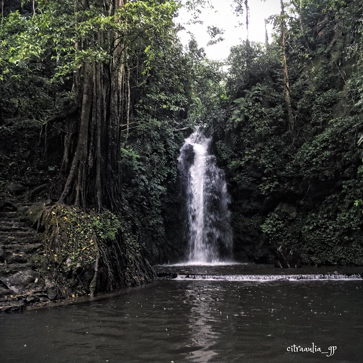 Palutungan & Curug Putri