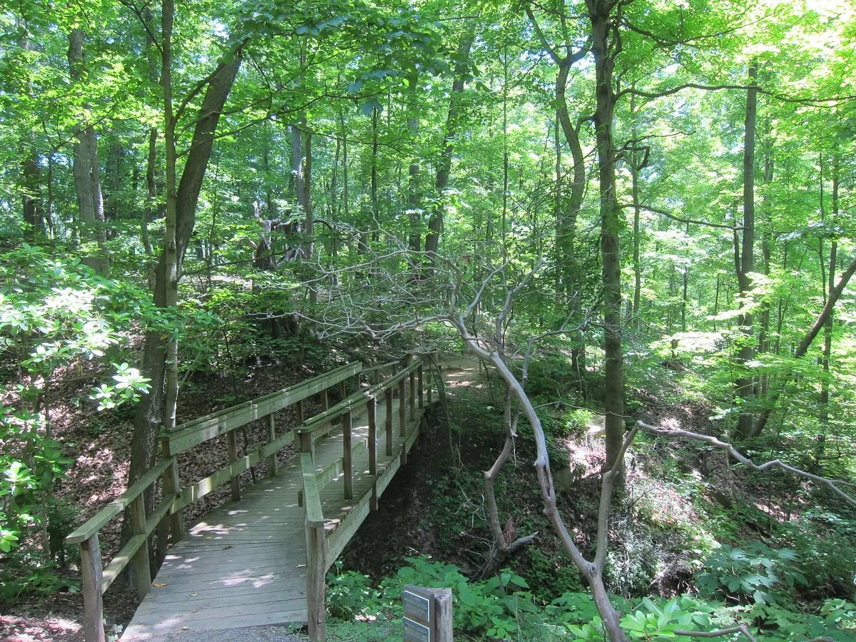 WVU Core Arboretum