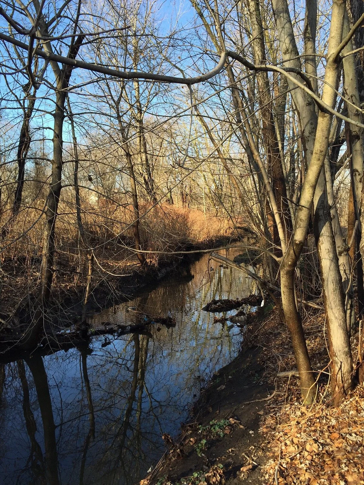 Teaneck Creek Conservancy
