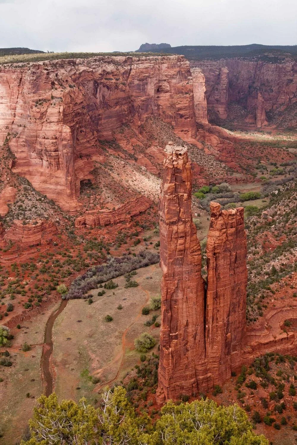South Rim Drive