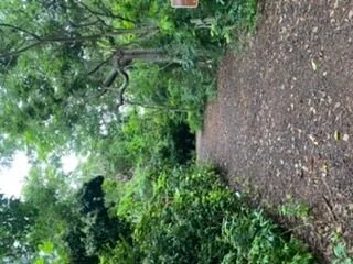 Otter Mound Preserve