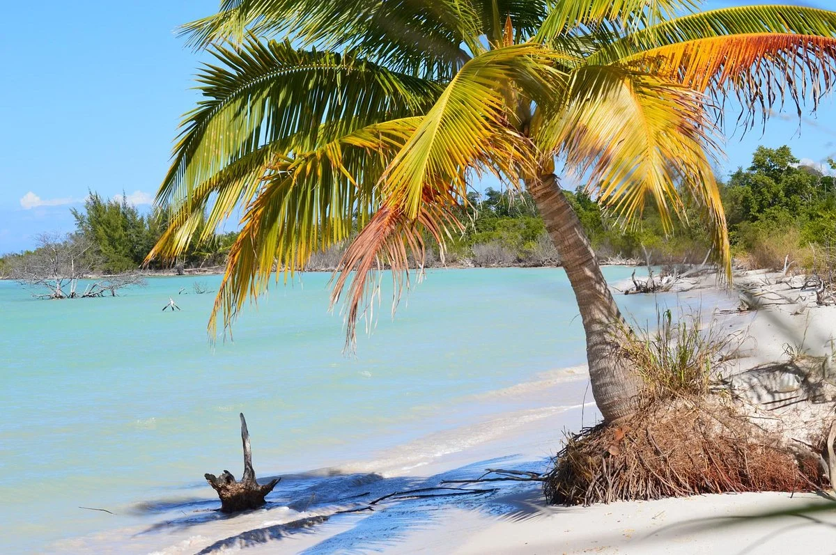 Cayo Jutías
