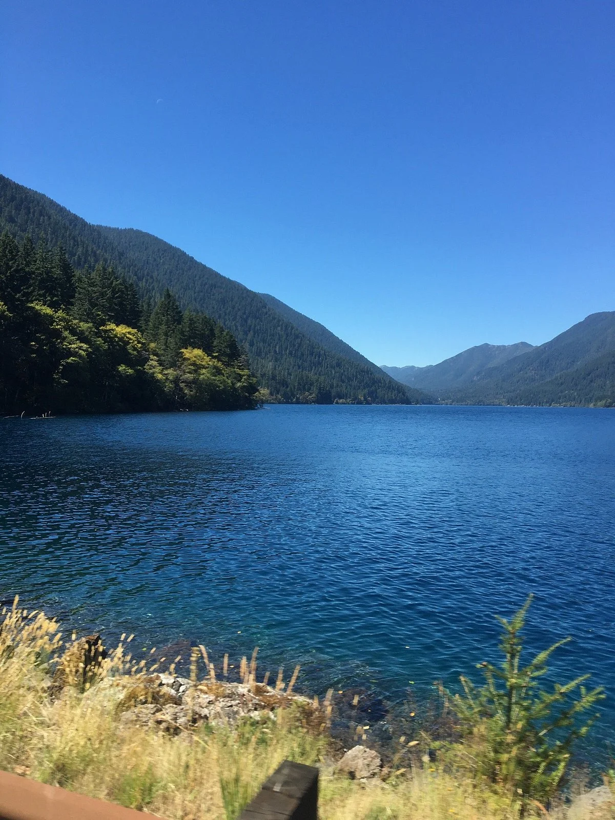 Olympic Peninsula Loop Drive