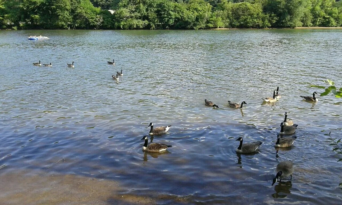 Chattahoochee River
