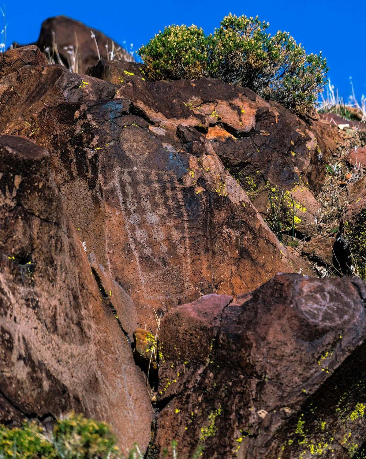 Little Petroglyph Canyon