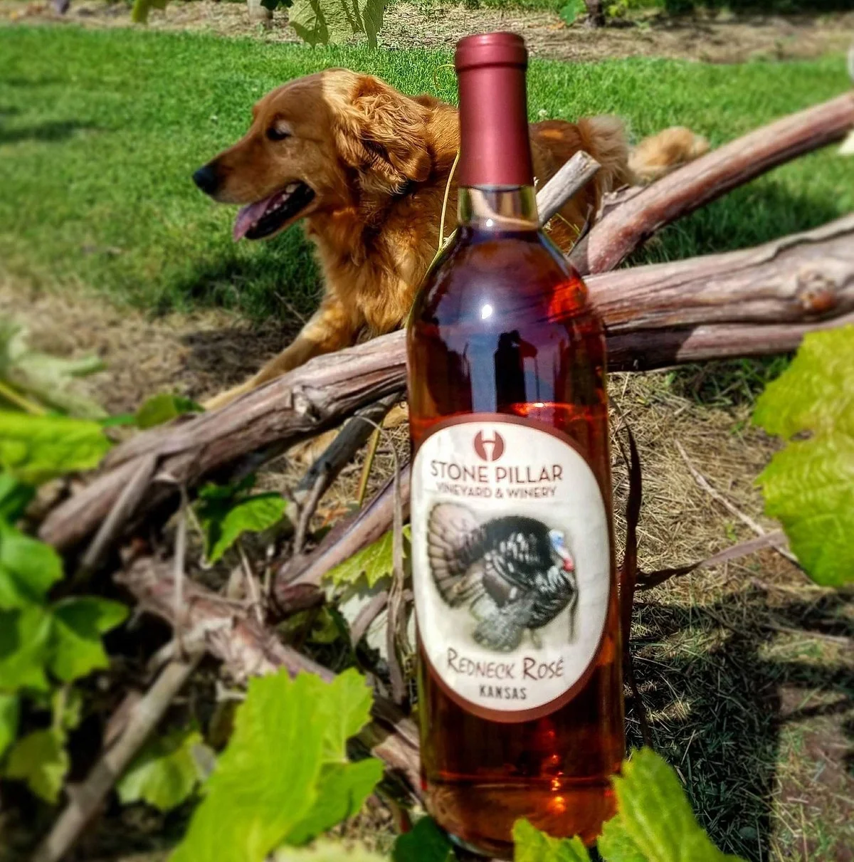 Stone Pillar Vineyard & Winery