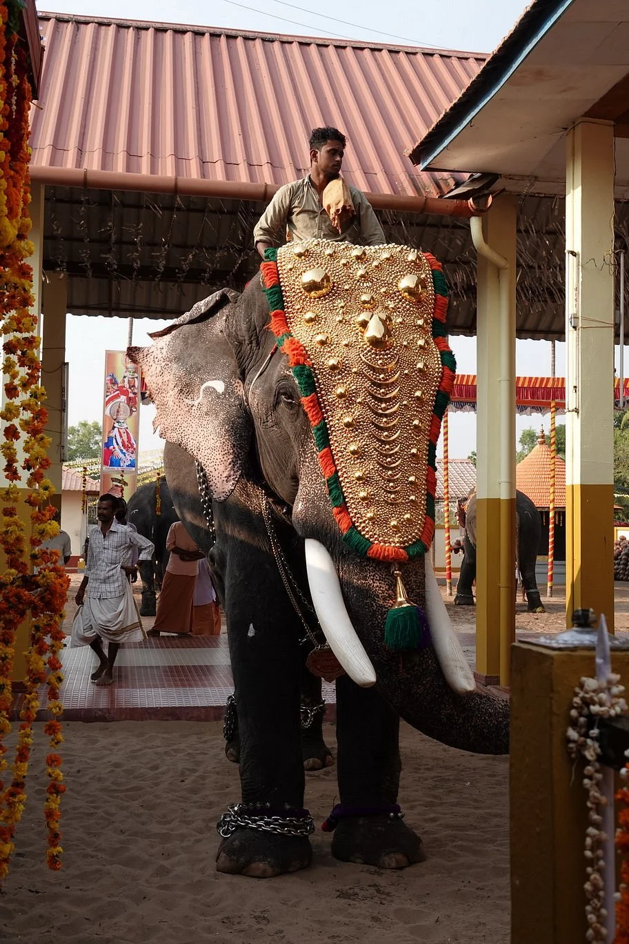 Velorvattom Mahadeva Temple
