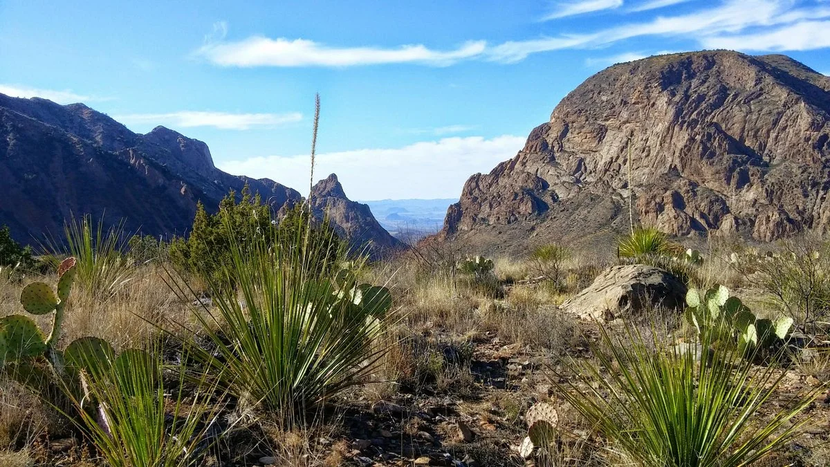 The Window Trail