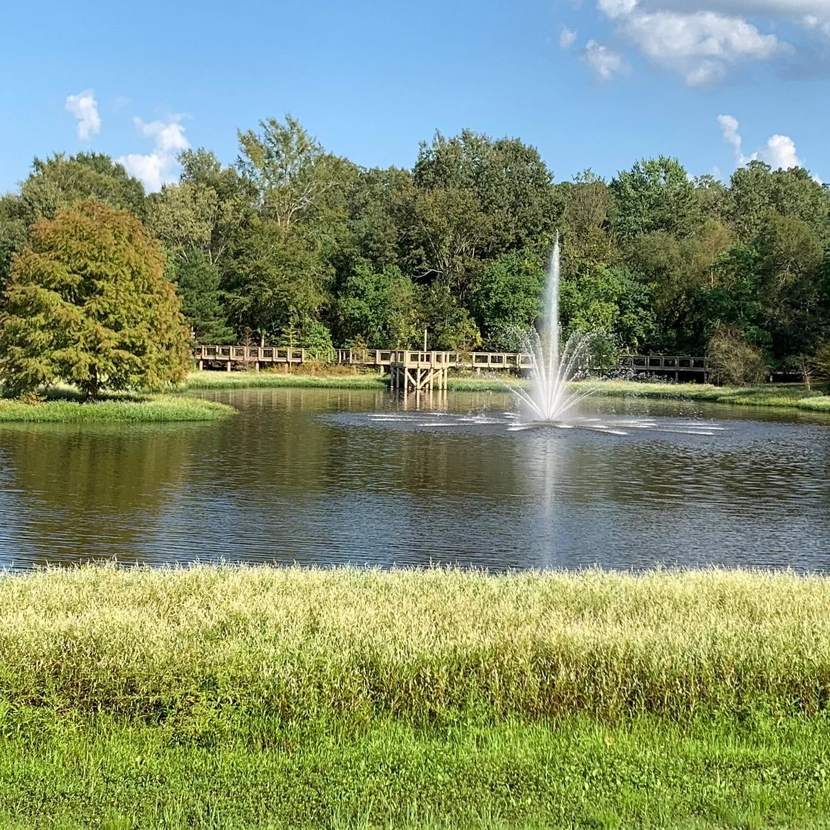 Flowood Nature Park