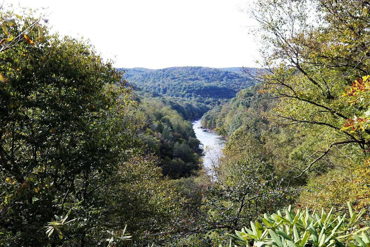 Bear Run Nature Reserve