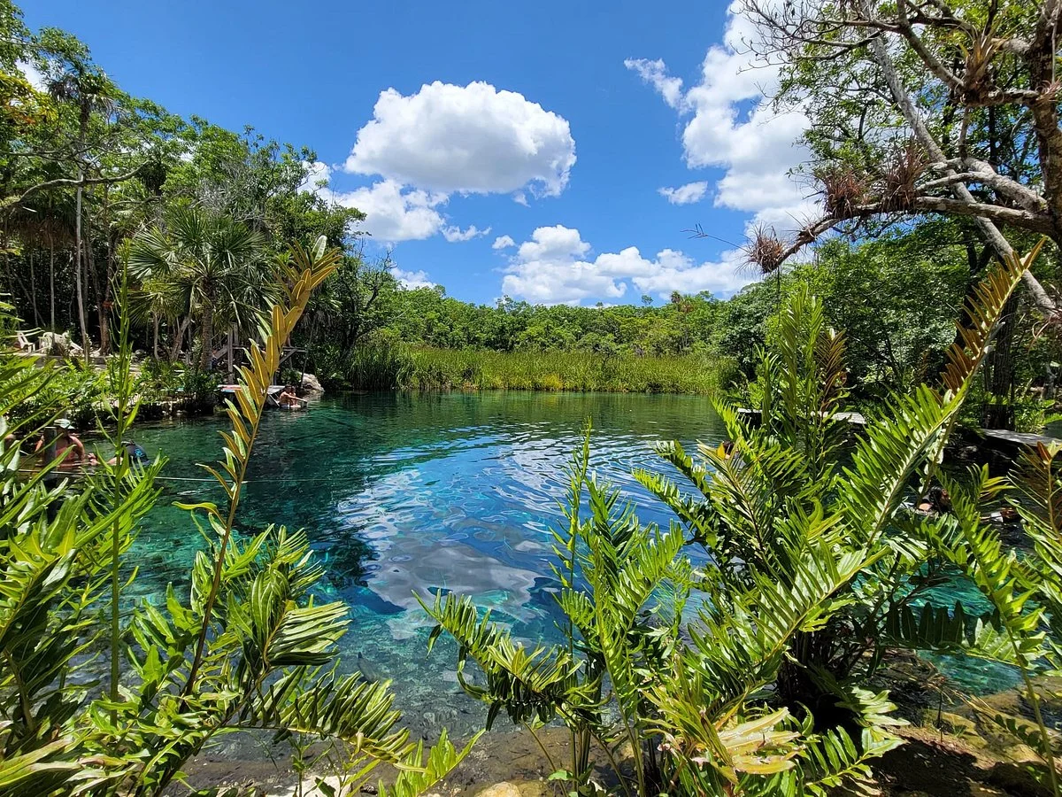Cenote Corazon Del Paraiso