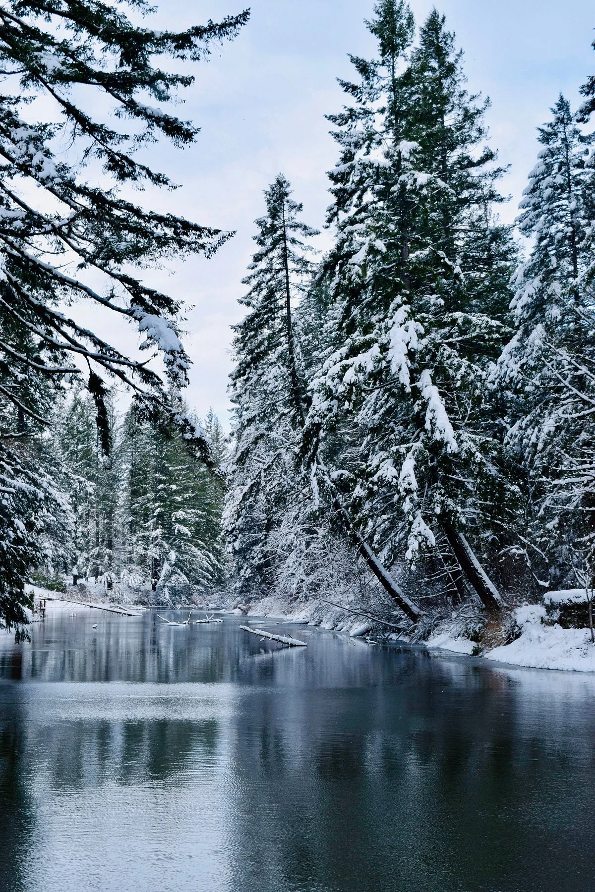 Lacamas Park Trail