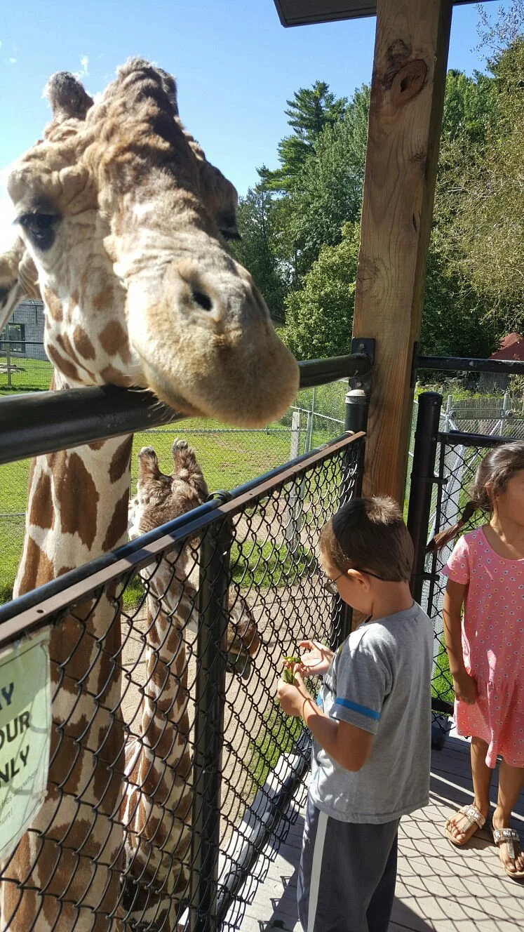 NEW Zoo & Adventure Park