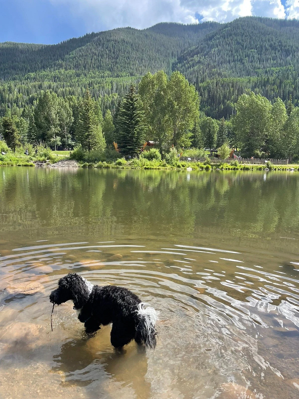 Bighorn Park Off Leash Dog Park