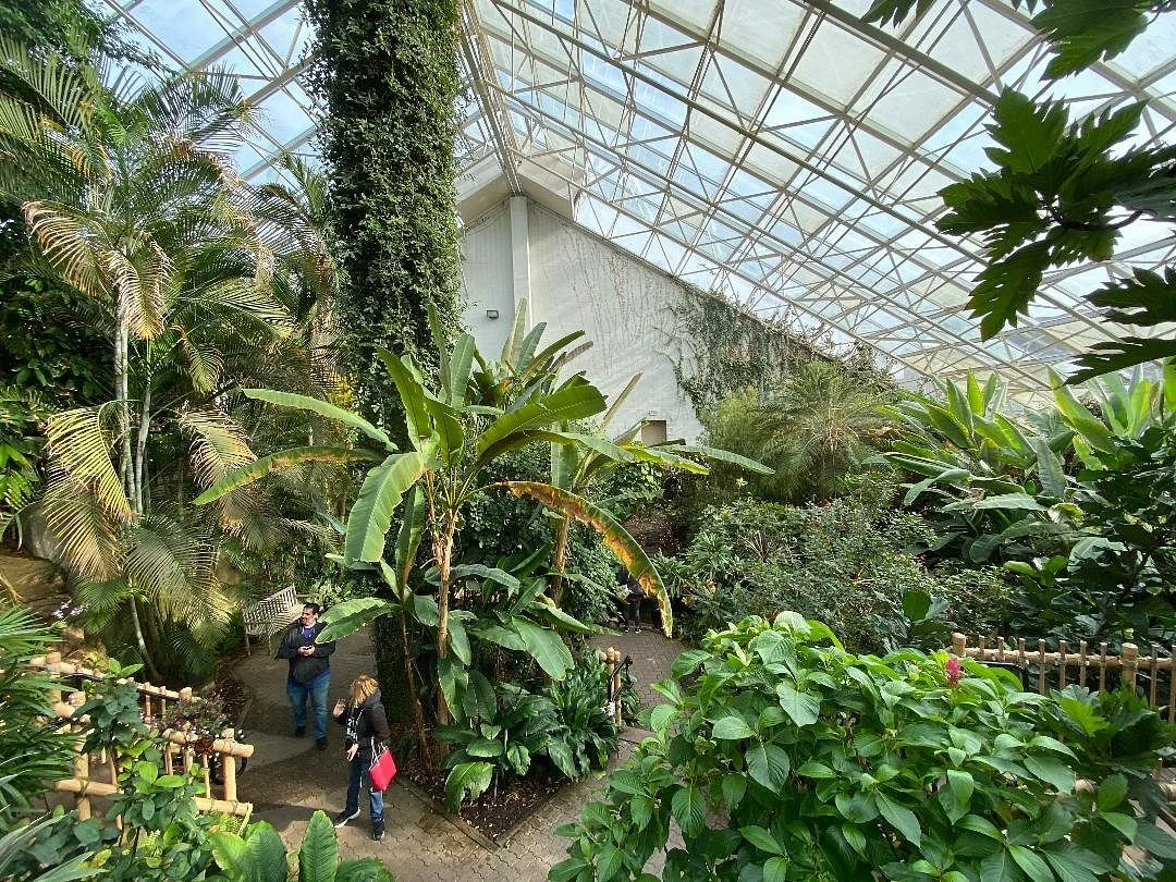 Foellinger-Freimann Botanical Conservatory