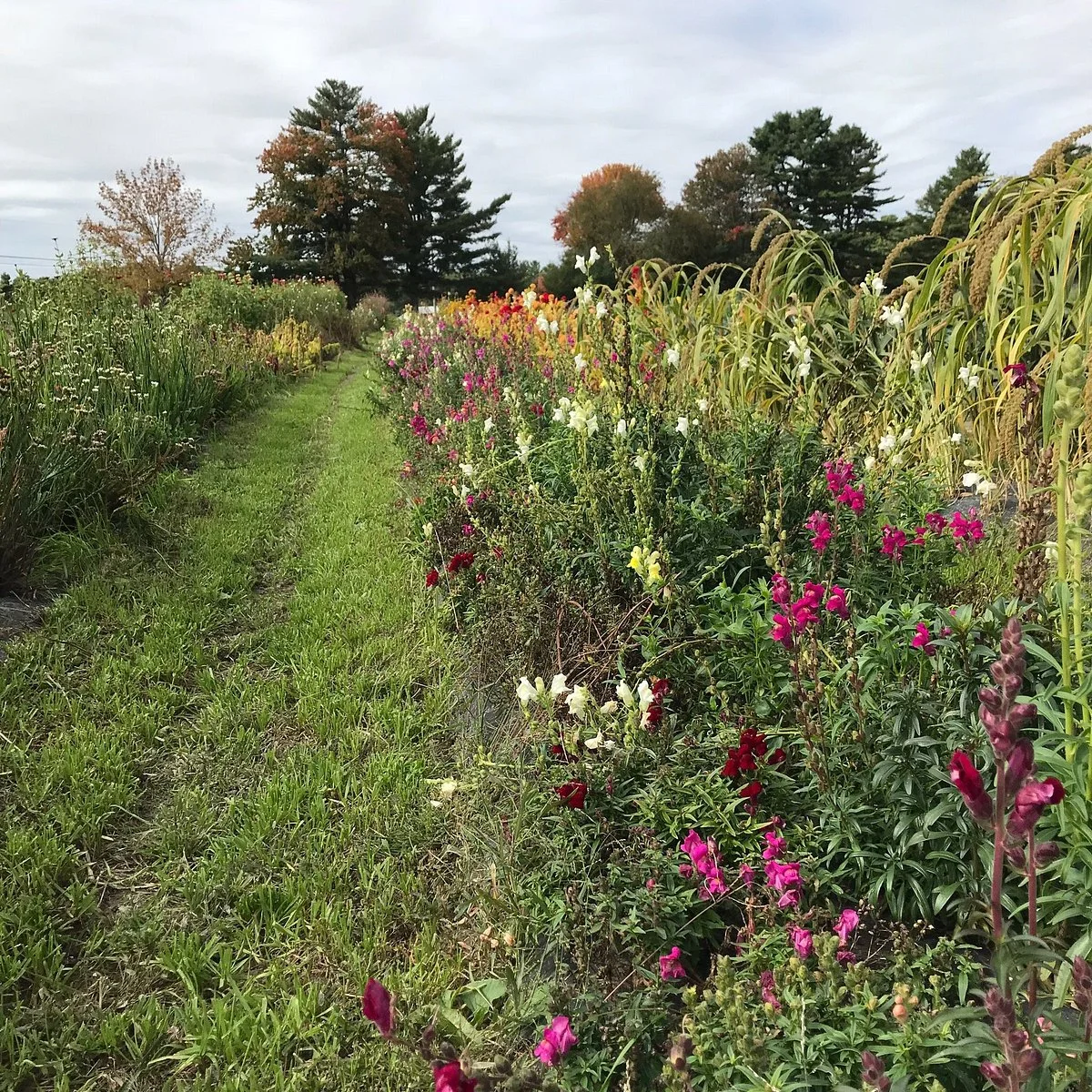 Spiller Farm