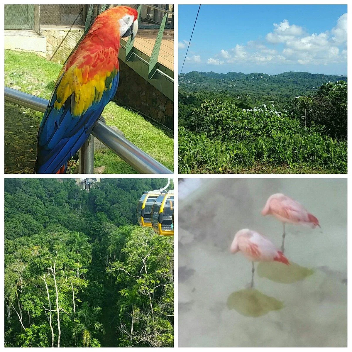 Parque Forestal La Marquesa