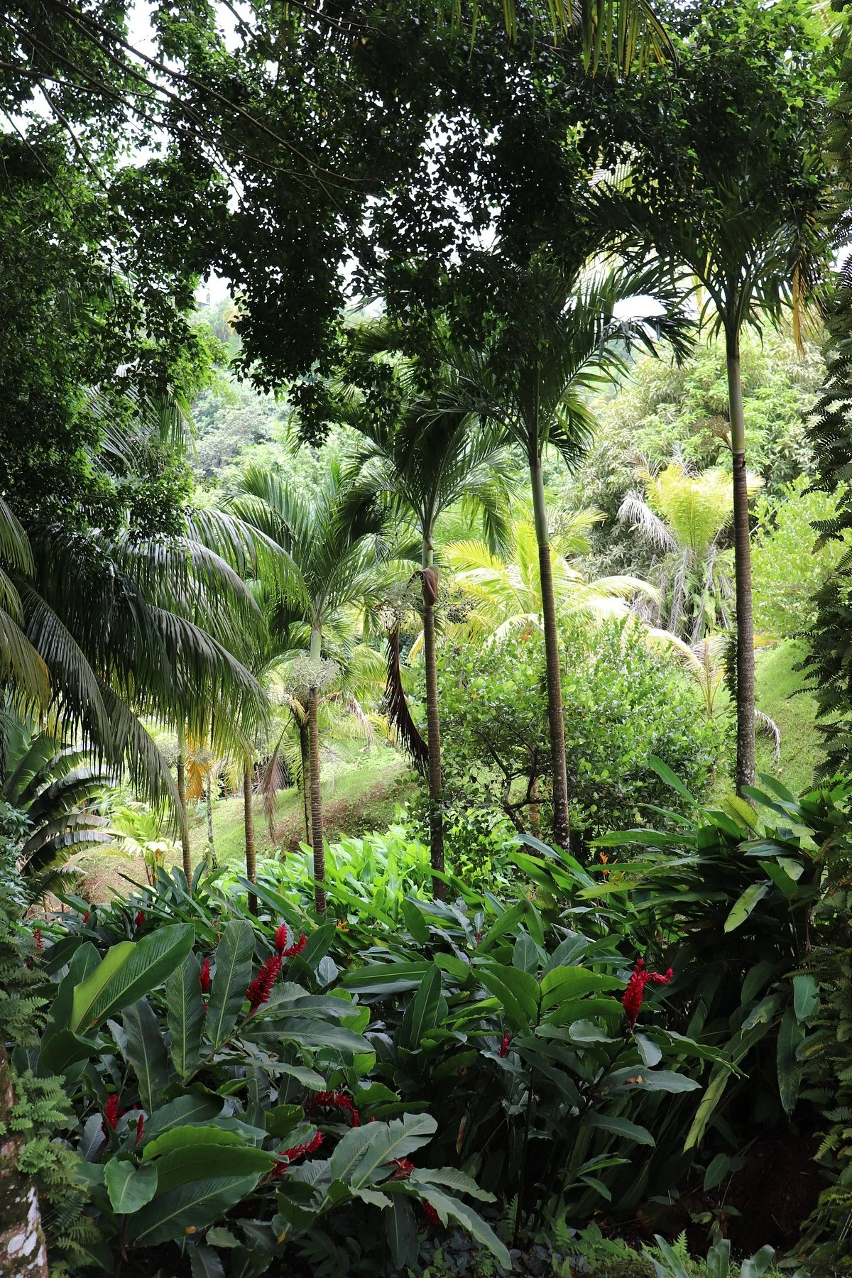 Le Jardin de Bonneville