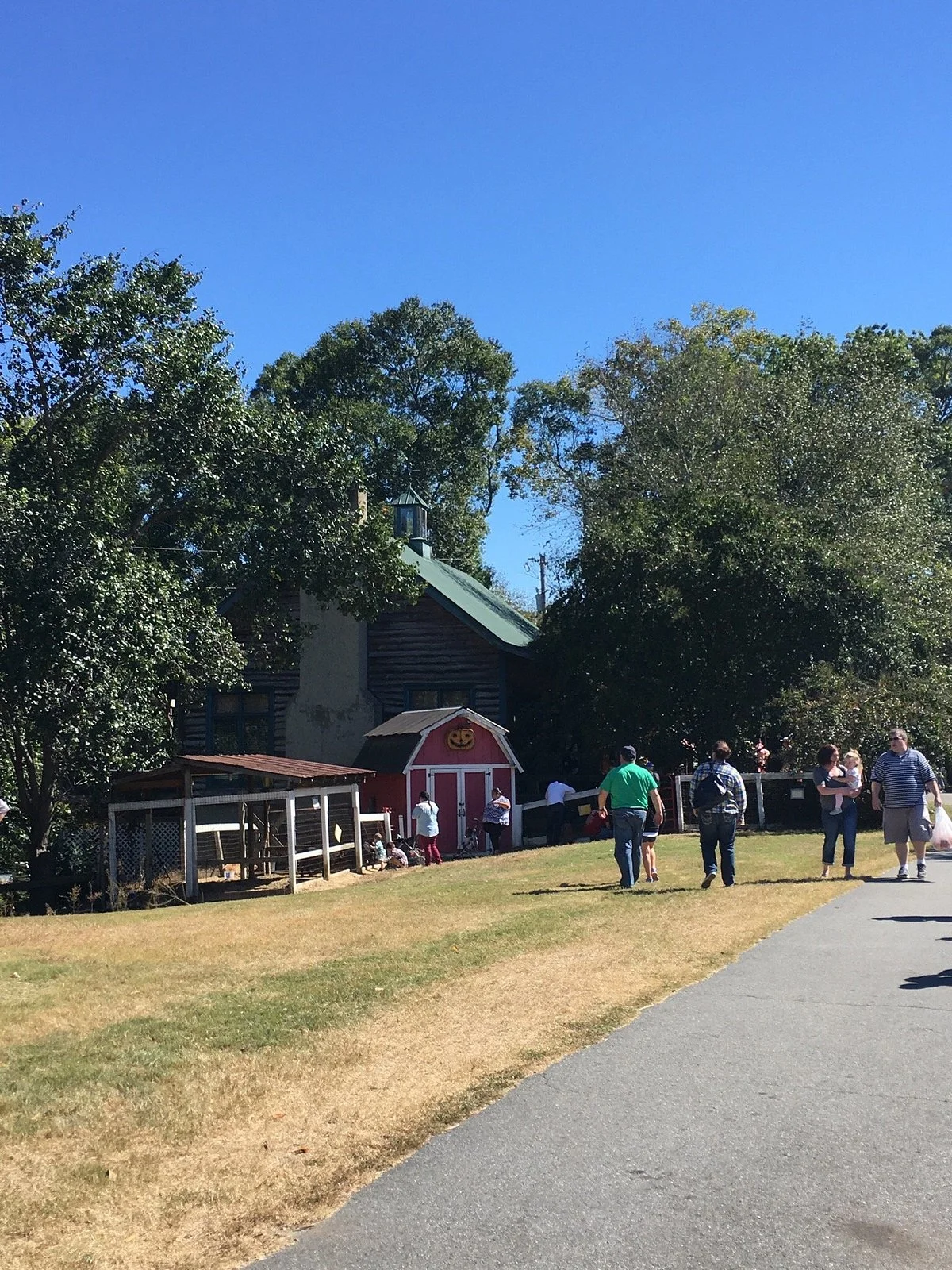 Berry Patch Farm