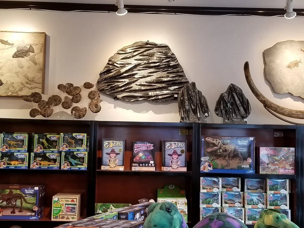 Prehistoric