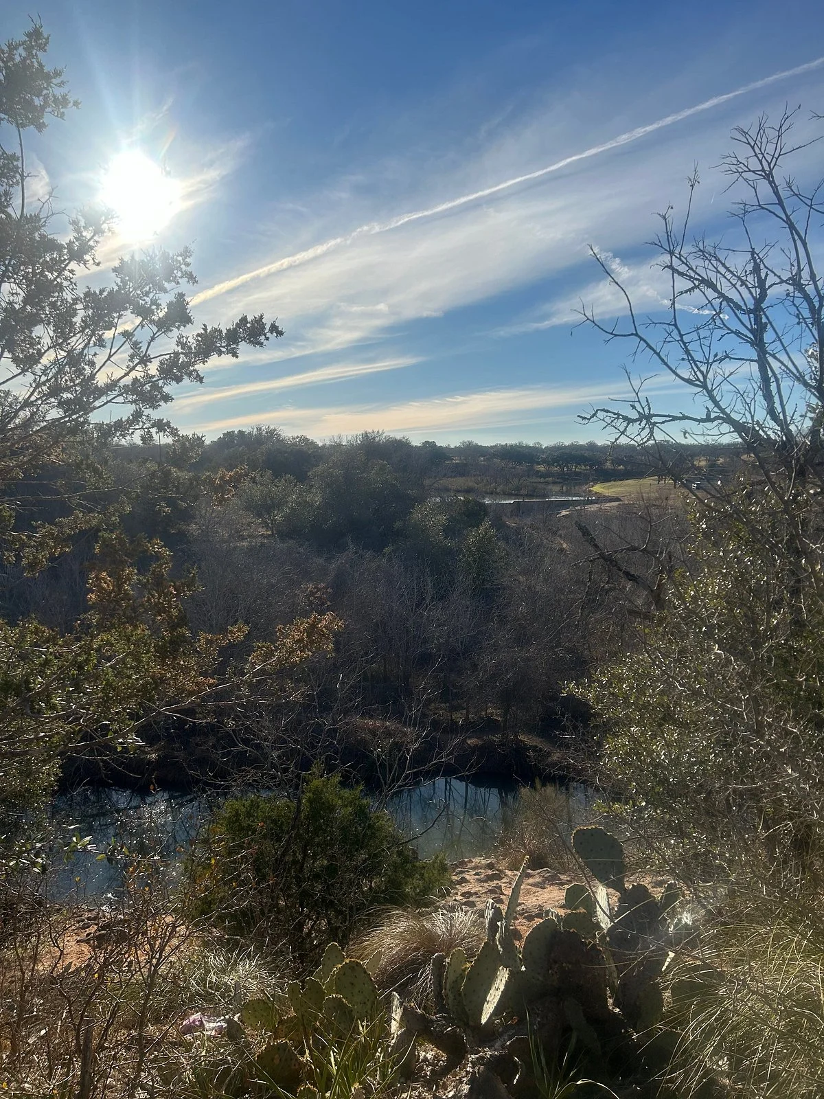 Lady Bird Johnson Municipal Park