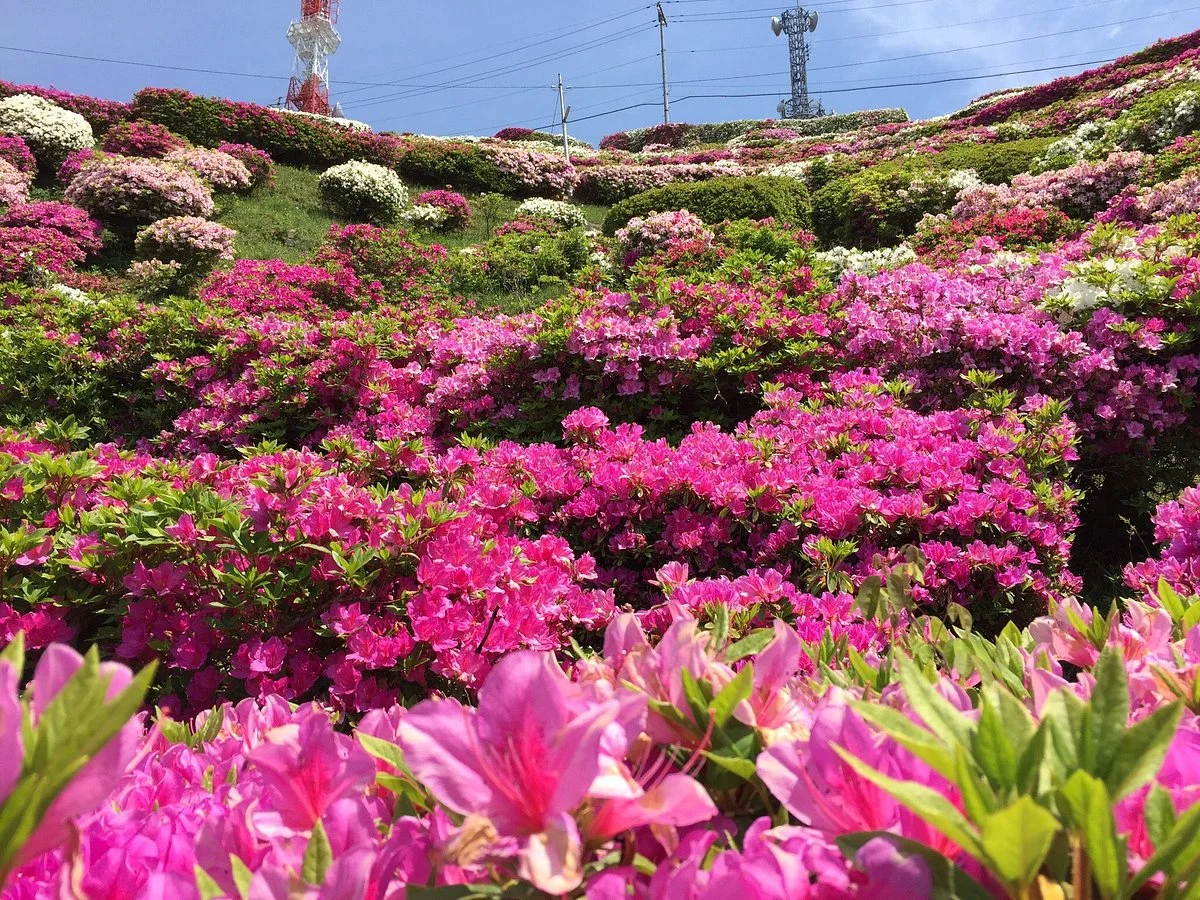 Ohira Mountaintop Park