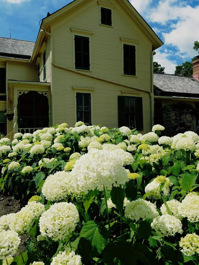 Kline Creek Farm