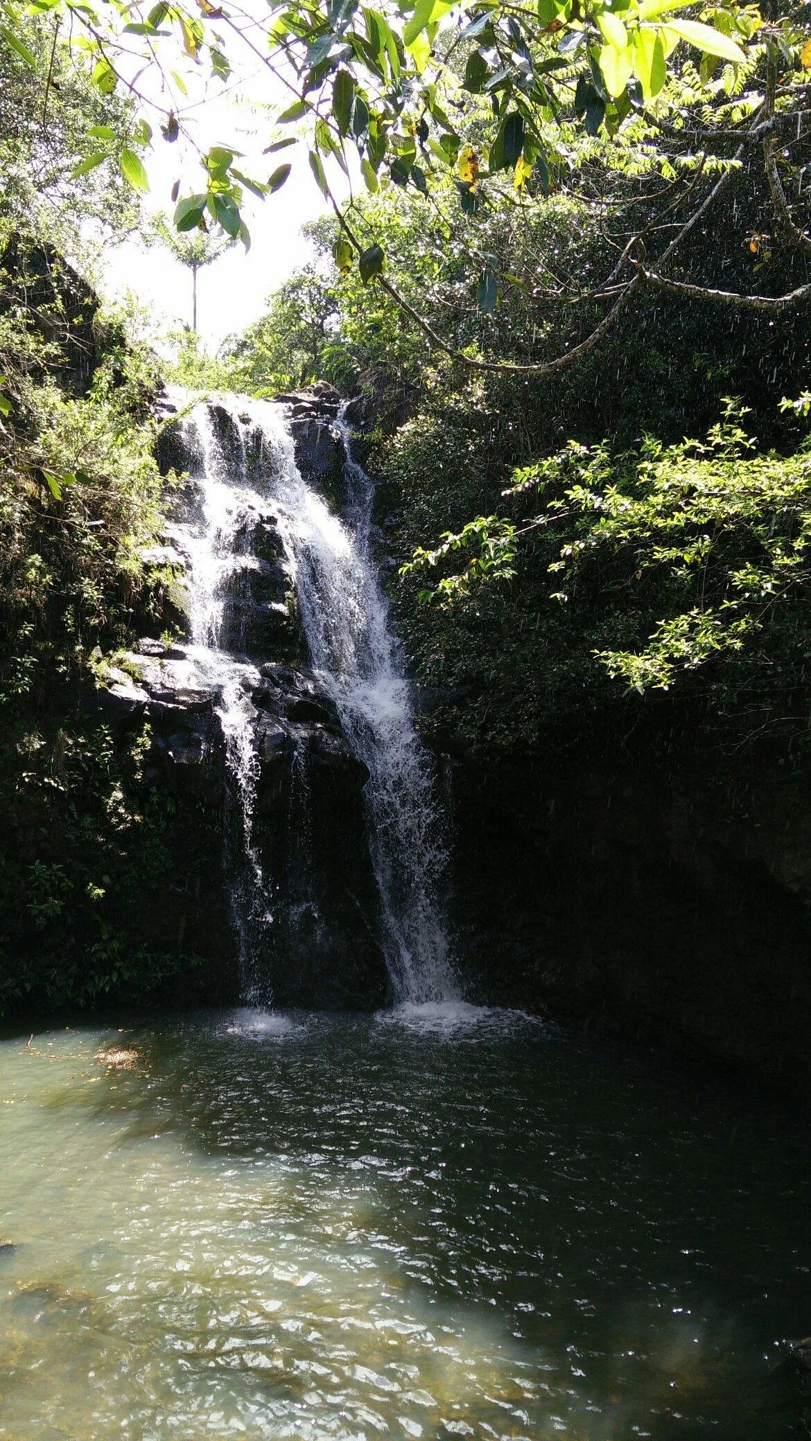 Waimano Pool Trail