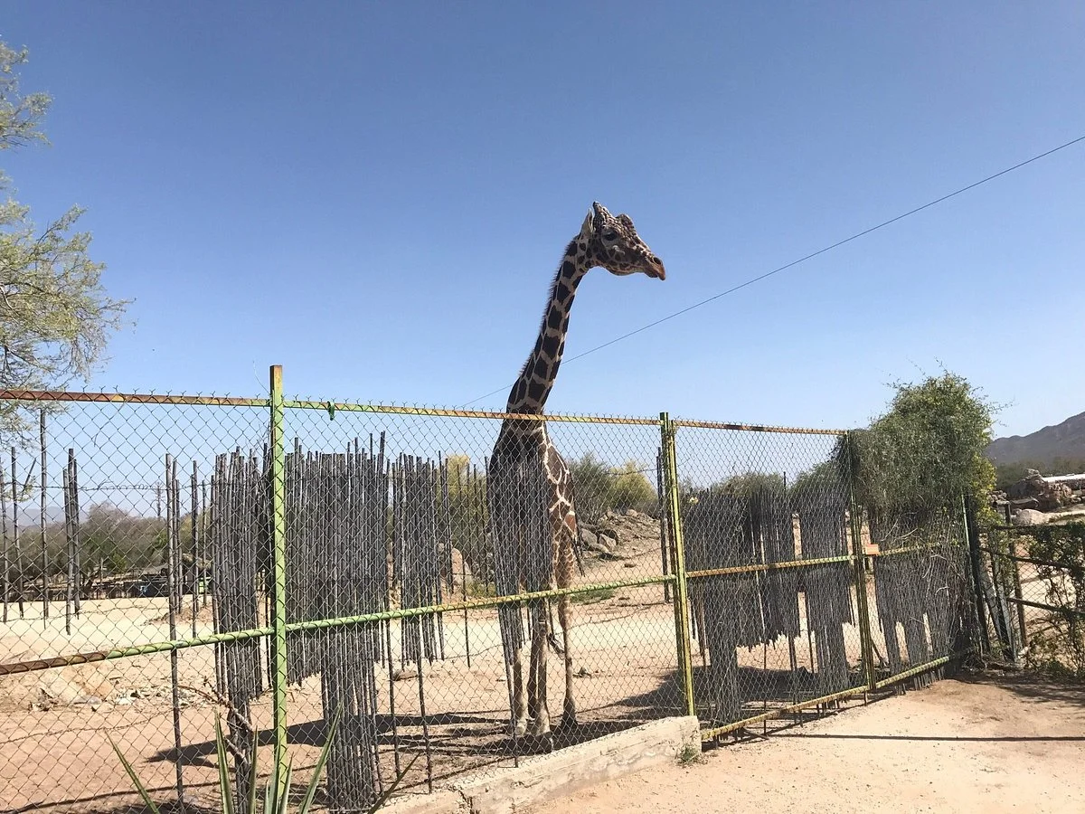 Centro Ecologico de Sonora